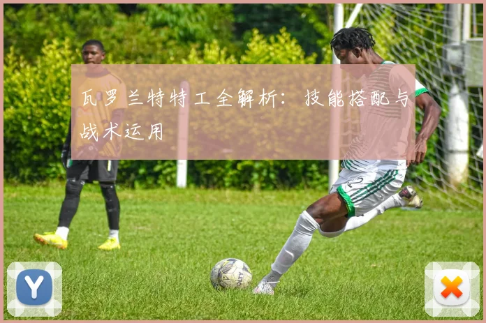 瓦罗兰特特工全解析:技能搭配与战术运用